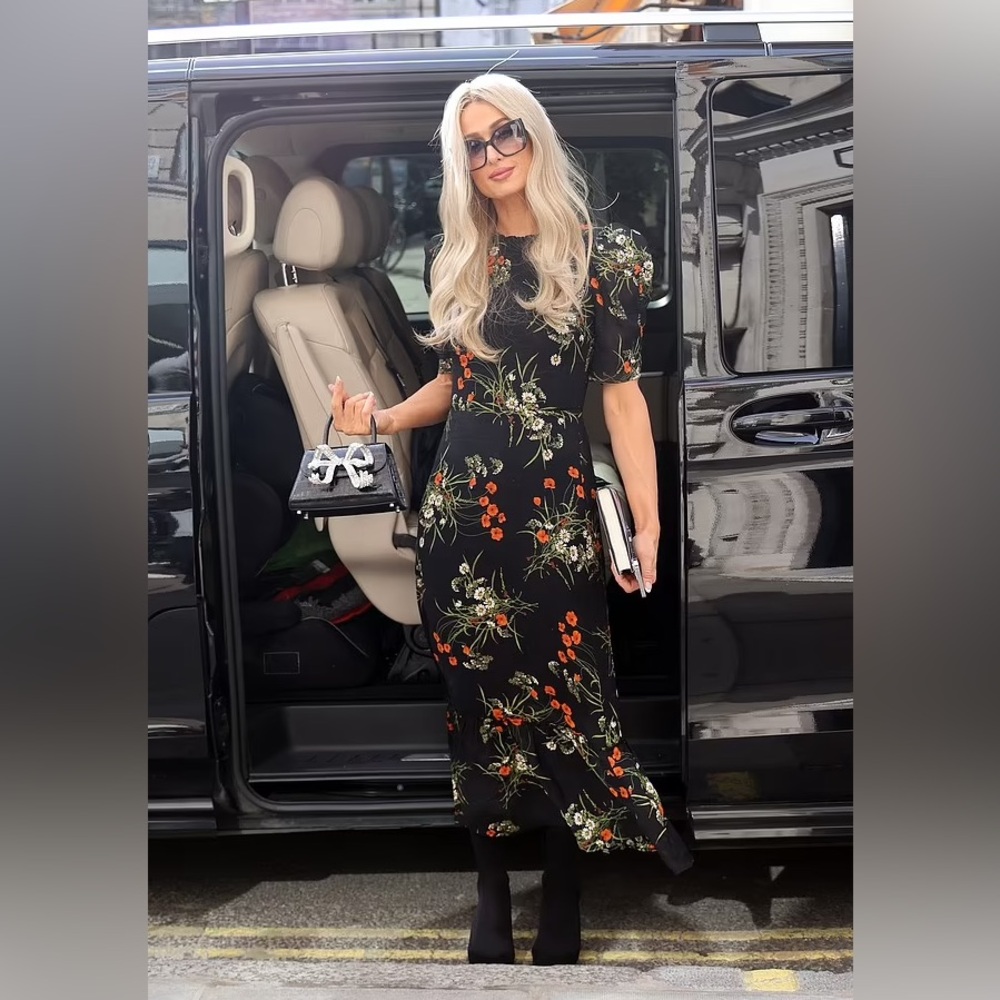 Reformation Addaline Ruffled Midi Dress - Picture 4 of 4